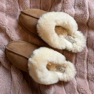 Ugg Disquette Size 10